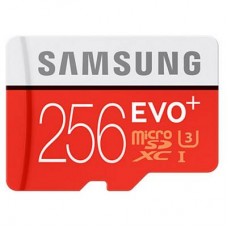 Карта памяти Samsung 256GB microSDXC class 10 UHS-I EVO PLUS (MB-MC256DA/RU)